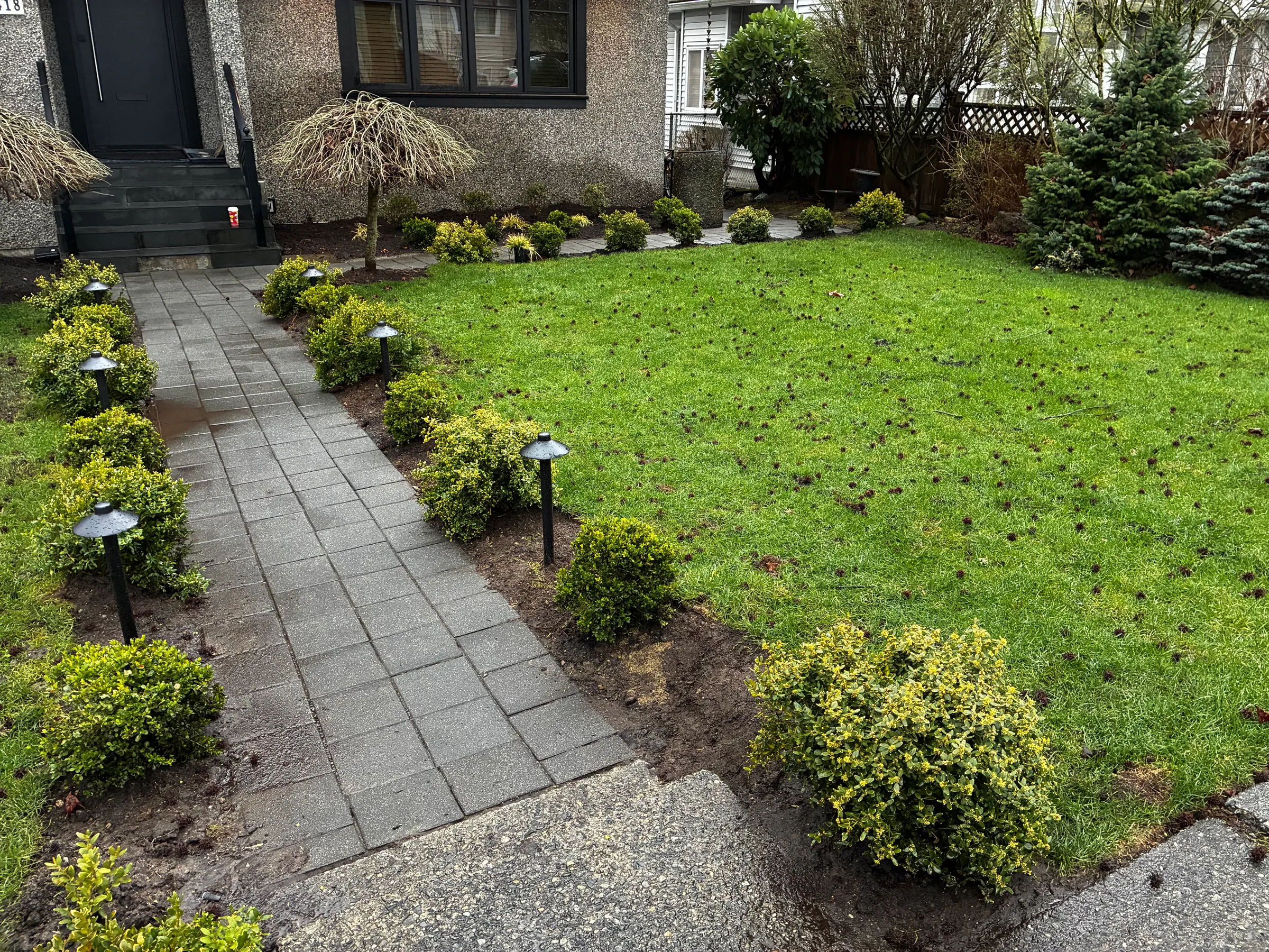 Expert Coquitlam Hedge Trimming & Property Upkeep Tips